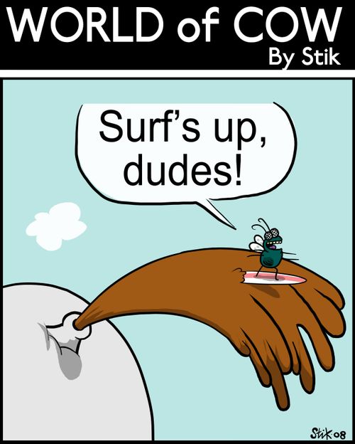 Surf's up, dudes!