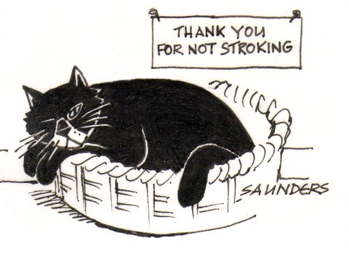 Thank you for not stroking.
