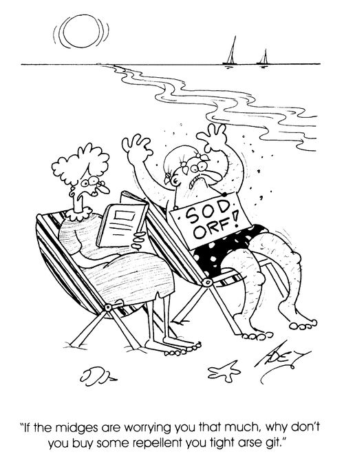 Sod orf, midges...