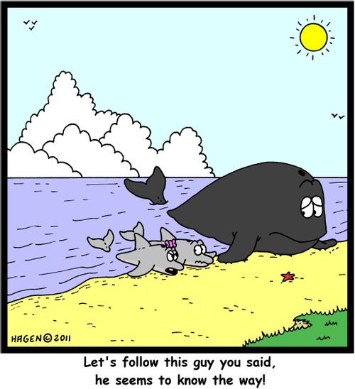 'Let's follow this guy you said, he seems to know the way!'