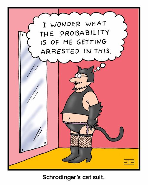 'Schrodingers cat suit'