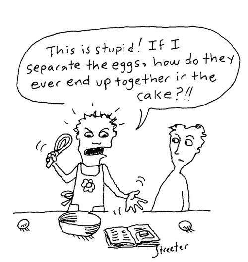 "This is stupid! If I separate the eggs how do they ever end up together in the cake?!!"