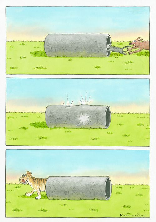Cat and dog run into tunnel...tiger emerges other end, licking its lips.
