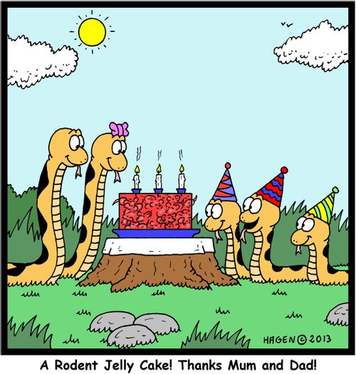 'A rodent Jelly Cake! Thanks Mum and Dad!'