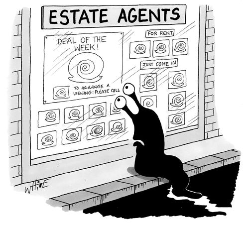 Snail Estate Agents