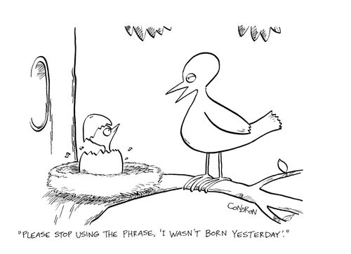 "Please stop using the phrase, 'I wasn't born yesterday'."