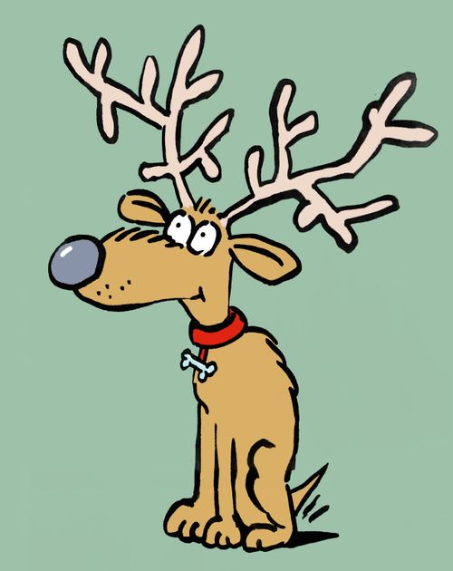 A dog with antlers