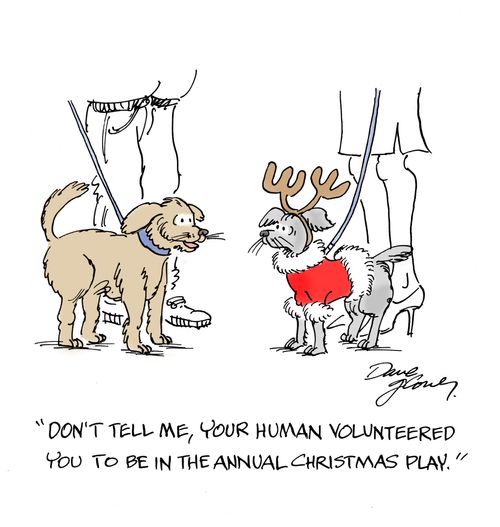 'Don't tell me, your human volunteered you to be in the annual Christmas play.'