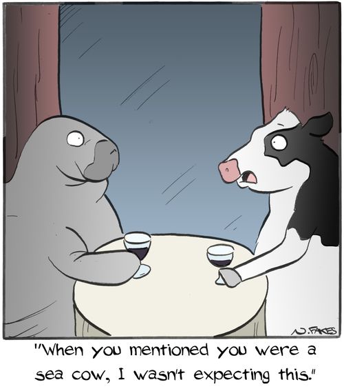 'When you mentioned you were a sea cow, I wasn't expecting this.'