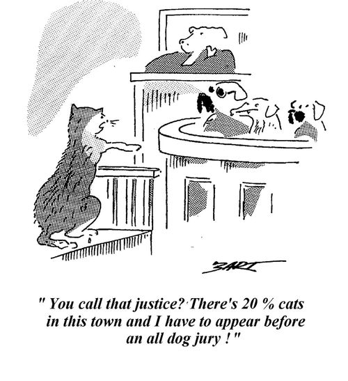 "You call that justice? There's 20% cats in this town and I have to appear before an all dog jury."