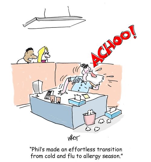 "Phil's made an effortless transition from cold and flu to allergy season."