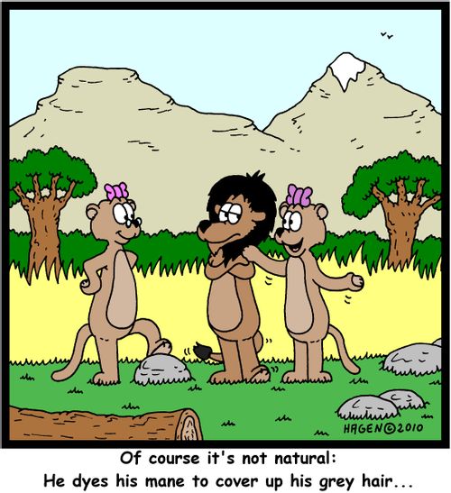 'of course it's not natural: He dyes his mane to cover up his grey hair...'