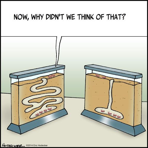 "Now, why didn't we think of that?"