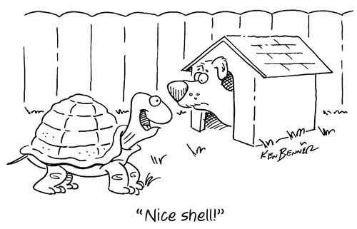 "Nice shell!"