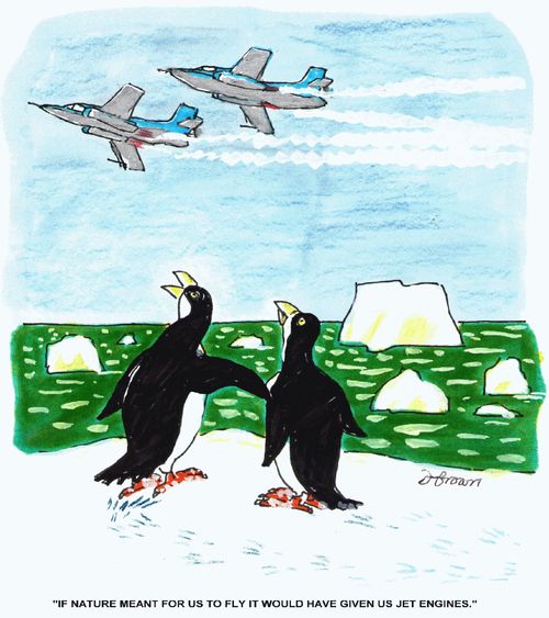 'If nature meant for us to fly it would have given us jet engines.