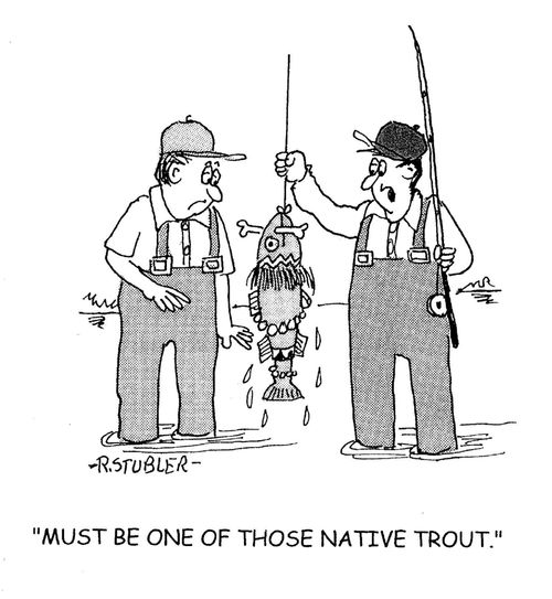 'Must be one of those native trout.'