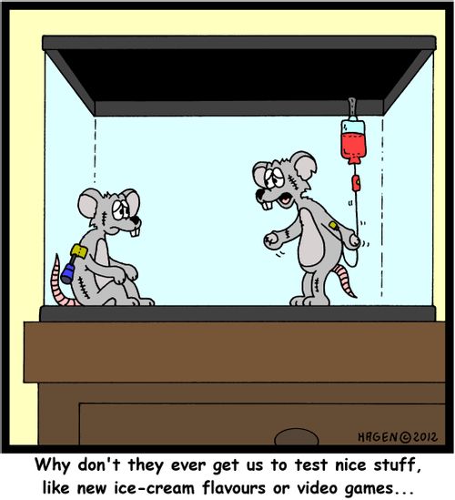 'Why don't they ever get us to test nice stuff, like new ice-cream flavours or video games...'