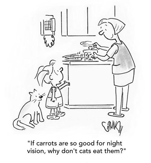 'If carrots are so good for night vision, why don't cats eat them?'