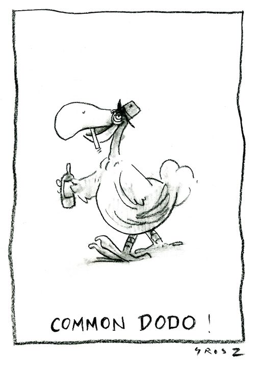 Common Dodo!
