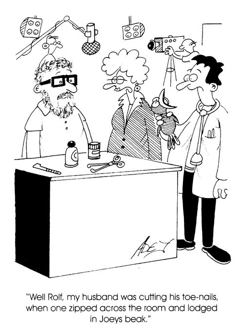 Animal Hospital