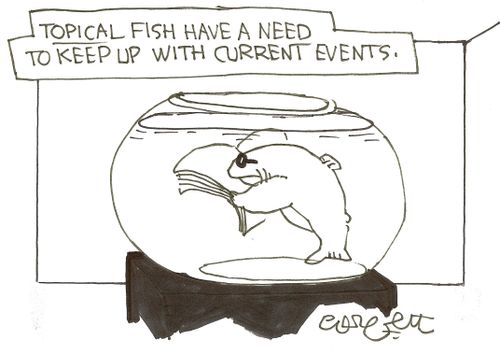 Topical fish have a need to keep up with current events,