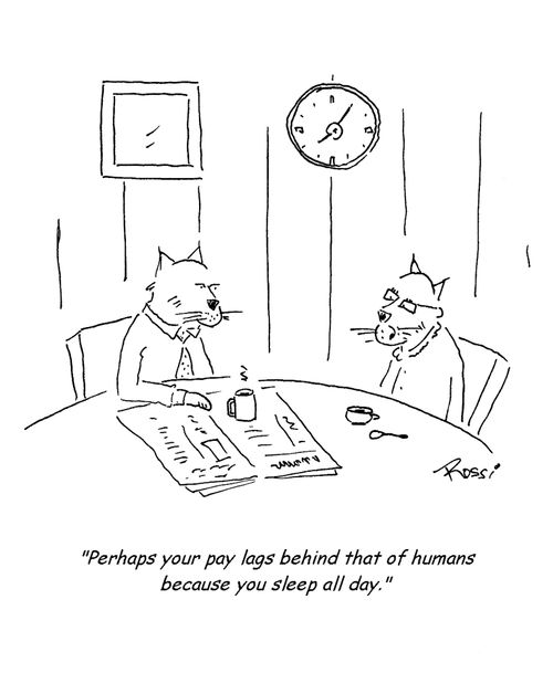 'Perhaps your pay lags behind that of humans because you sleep all day.'