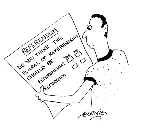 Man reading referendum sheet asking what the spelling of the plural of referendum should be
