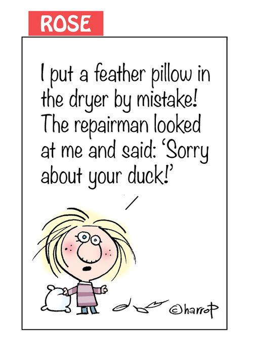 I put a feather pillow in the dryer by mistake! The repairman looked at me and said: 'Sorry about your duck!'
