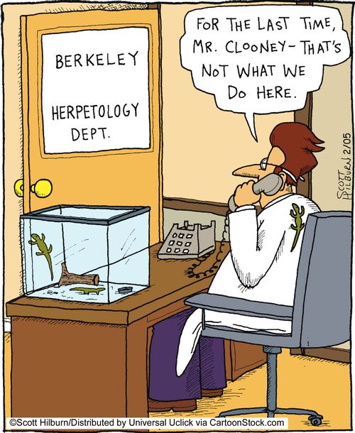 For the last time, Mr. Clooney - That's not what we do here.