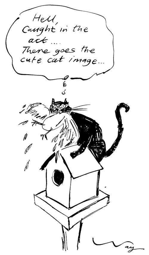 "Hell, caught in the act, there goes the cute cat image"