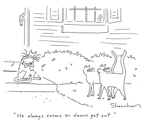 'He always seems so damn put put.'