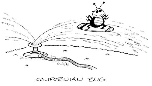 'Californian Bug'