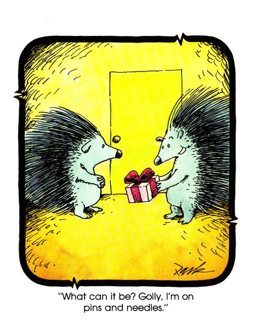 'What can it be? Golly, I'm on pins and needles.'