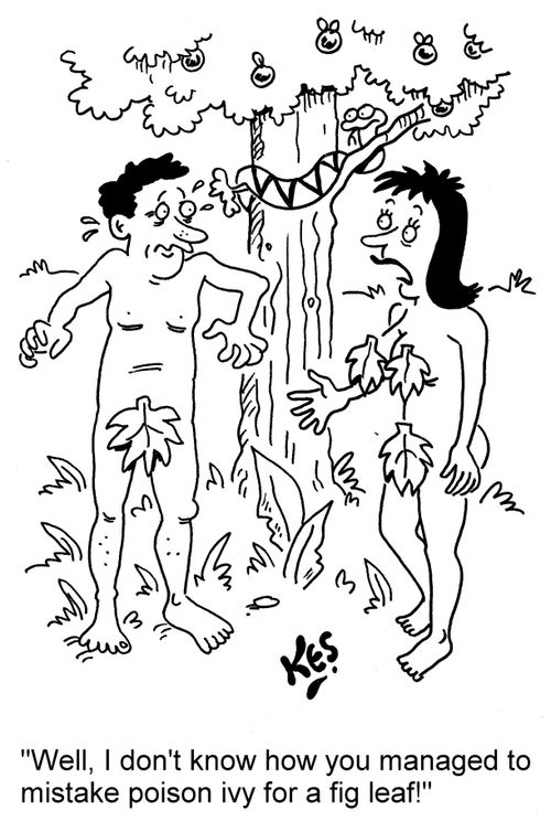 'Well, I don't know how you managed to mistake poison ivy for a fig leaf!'