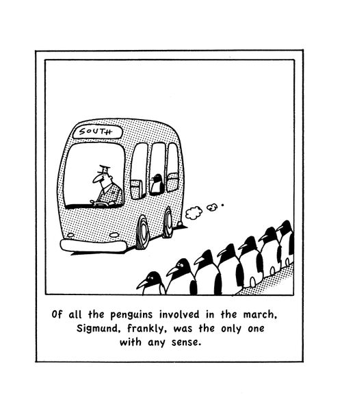 Of all the penguins, Sigmund was the only one with any sense. 