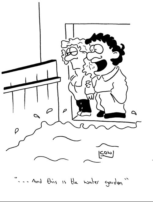 '...and this is the water garden...'