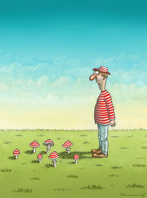 Mushrooms Fashion