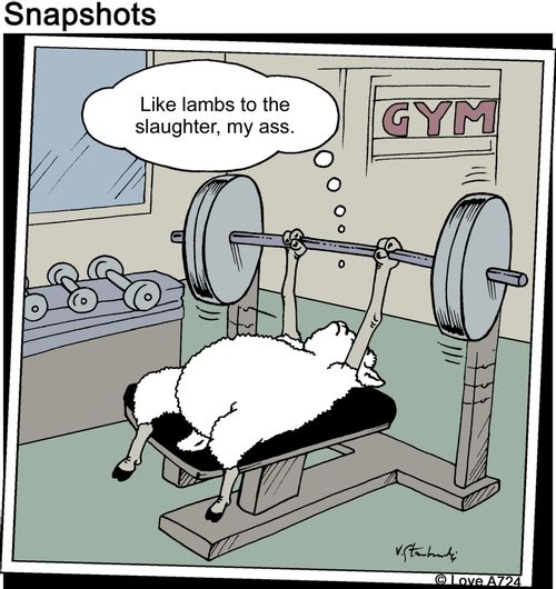 'Like lambs to the slaughter, my ass.'