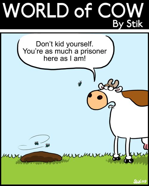 Don't kid yourself. You're as much a prisoner here as I am.