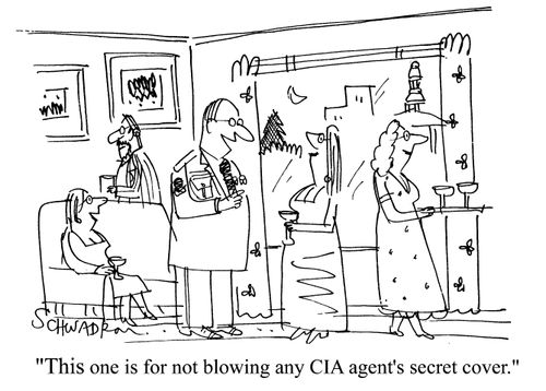 'This one is for not blowing any CIA agent's secret cover.'