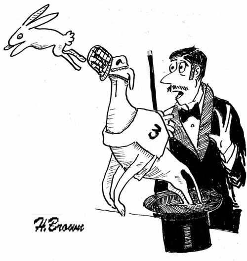 A rabbit is followed out of a Magician's hat by a greyhound.