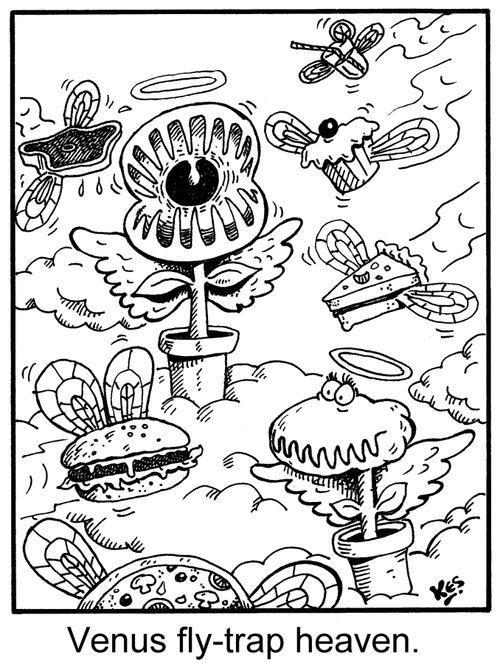 Venus fly-trap heaven.
