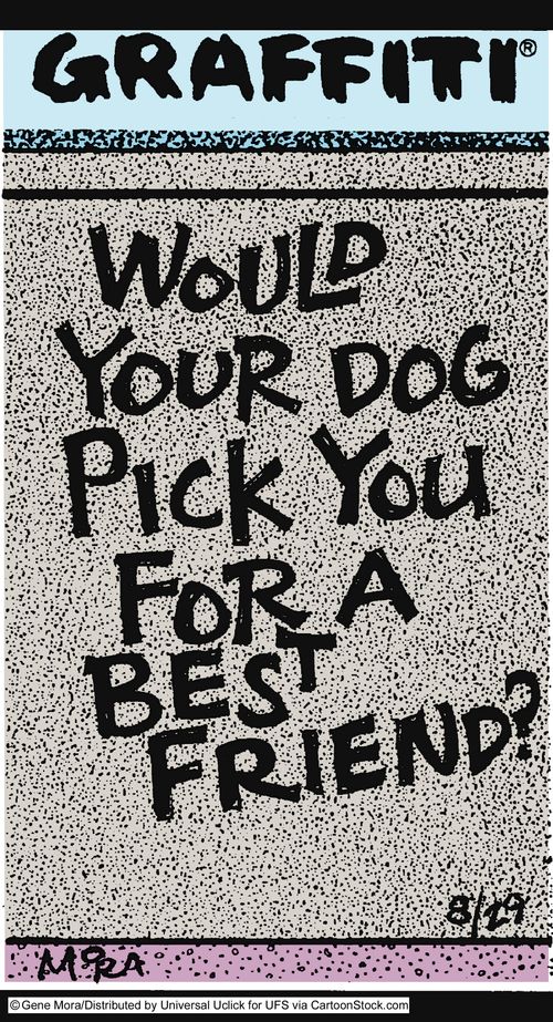 Would your dog pick you for a best friend?