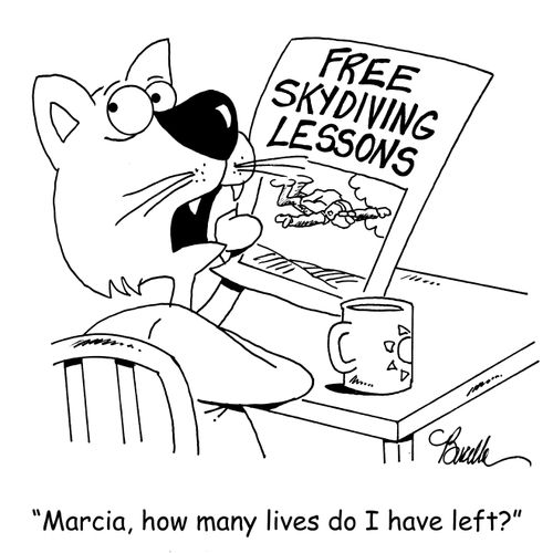 "Marcia, how many lives do I have left?"