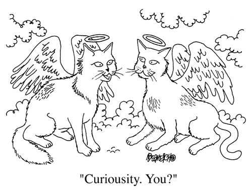 "Curiousity. You?"
