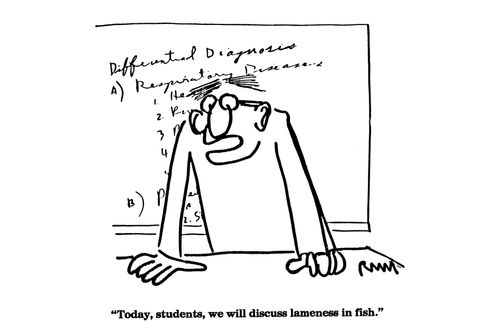 'Today, students, we will discuss lameness in fish.'