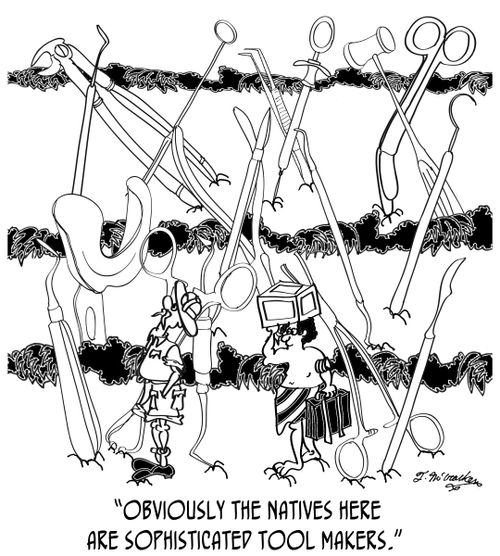 'Obviously the natives here are sophisticated tool makers.'