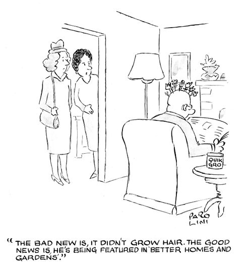 'The bad news is, it didn't grow hair. The good news is, he's being featured in 'Better Homes and Gardens'.'