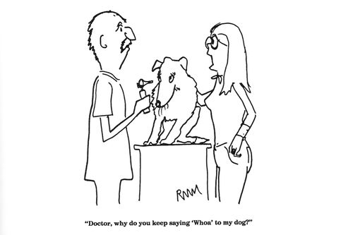 'Doctor, why do you keep saying 'Whoa' to my dog?'