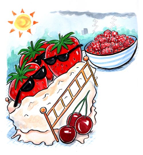 Summer Berries